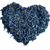 Dried Lavender Flower Buds (one pound bag)