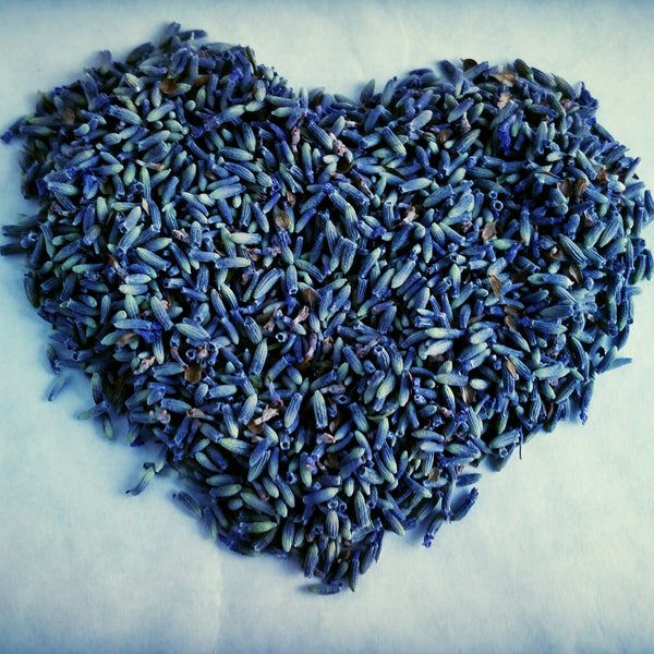 Dried Lavender Flower Buds (one pound bag)