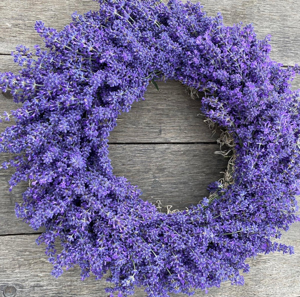Let’s make a Lavender Wreath! A Pop up workshop Saturday June 24th  from 11:00-1:00